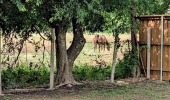 1101 Larkspur Dr, Allen, TX 75002