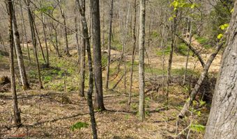 Martha Stockton Road, Albany, KY 42602