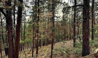 259 Hillside Cir, Bayfield, CO 81122