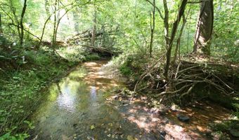 TBA BETTYS BRANCH RD X, Arvonia, VA 23004