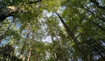 0 Military Rd, Beaverton, AL 35544