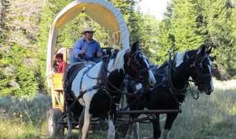 807 MERNA N BEAVER Rd, Daniel, WY 83115