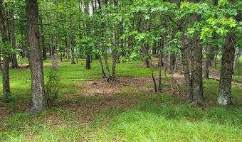 203 Foothill Rd, Albrightsville, PA 18210