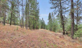 1571 Stone, Blanchard, ID 83804