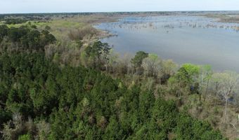 Tbd Pump Station Rd, Ashdown, AR 71822