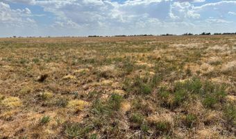 4111 County Road 5300, Abernathy, TX 79311