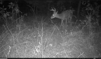 N80 Helt Rd, Antlers, OK 74525