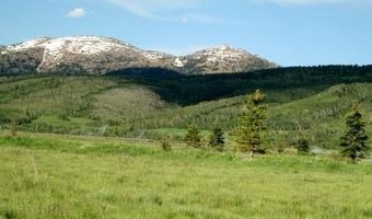 1185 S SORENSEN Way, Alta, WY 83414