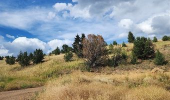 C.O.S. 224A NW4, Anaconda, MT 59711