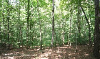 TBA BETTYS BRANCH RD X, Arvonia, VA 23004