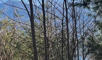 Fontana Trace Drive lot 65, Almond, NC 28789