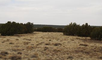 21 County Rd, Concho, AZ 85924