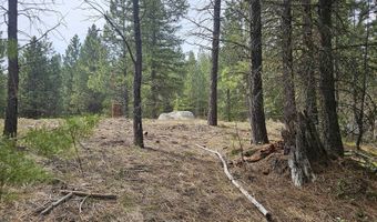59 Price Loop, Cascade, ID 83611