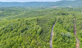 Ahart Ridge Rd lot 58 60 61, Ararat, VA 24053