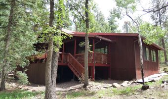 38 CR 2266, Alpine, AZ 85920