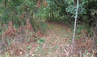 46 Private Road 160-190, Alton, MO 65606