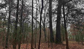 67 Old Wire Rd, Atkins, AR 72823