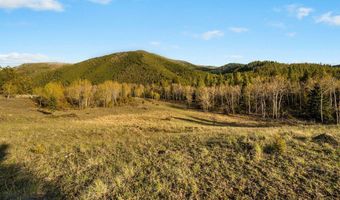 1470 Lime Spur Rd & 44 Two Meadows Dr, Anaconda, MT 59711