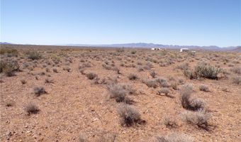 308-22 395 N Palo Verde Dr, Chloride, AZ 86431