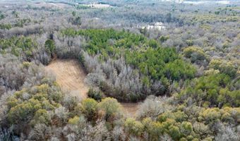 Brush Creek Dr, Akron, AL 35441