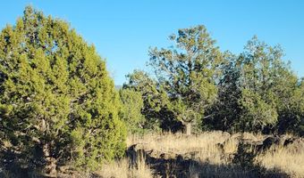 88- B Rose Ln, Ash Fork, AZ 86320
