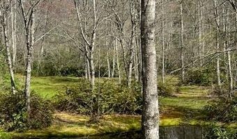 27 Sweetwater Ridge Rd, Balsam Grove, NC 28708