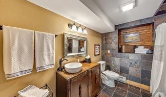 209 Deer Path Ln, Almont, CO 81230