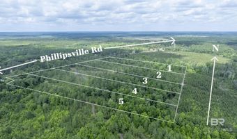 Phillipsville Road lot 5, Bay Minette, AL 36507