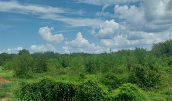 1085 Deen Point Rd, Benton, LA 71006