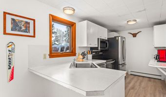 1501 Maroon Creek Rd 2, Aspen, CO 81611
