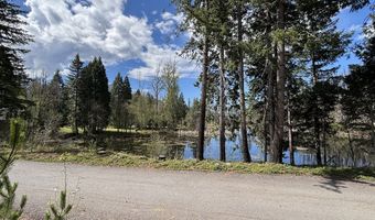 54432 MCKENZIE Hwy 40, Blue River, OR 97413