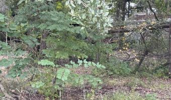 3319 GOLDEN GEM Rd, Apopka, FL 32712