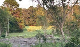 9751 Ocelot, Gilmer, TX 75644