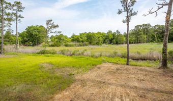 443 BLACK GUM Dr, Bethany Beach, DE 19930