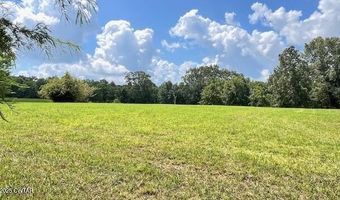 3945 Old Trezevant Rd, Atwood, TN 38220