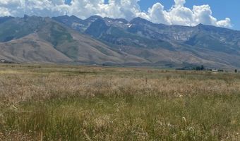 80 21 Acres A, Lamoille, NV 89828