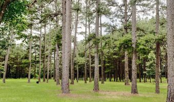 184 14 Bradley Road N Rd, Banks, AR 71631