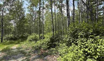 TBD Samuelson Road - Sec 15, Angora, MN 55703