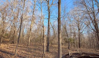 Farris Rd, Atoka, OK 74525