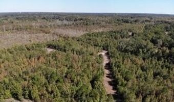 Broxton Bridge Road, Bamberg, SC 29003