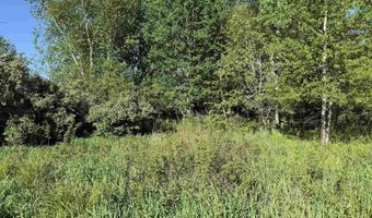 EAU CLAIRE RIVER ROAD lot 3, Aniwa, WI 54408