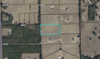 NW 31st Ave, Bell, FL 32619