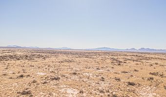 29 Rose Ln, Animas, NM 88020
