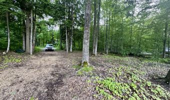 3206 HIDDEN RIDGE Rd, Alanson, MI 49706