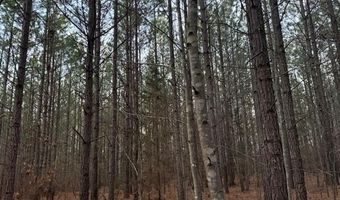 Piney Mountain Road lot 7, Appomattox, VA 24522
