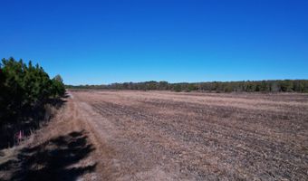 53 86 Acres-TBD Pate Rd, Bishopville, SC 29010