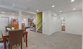 10 Hithergreen Ct, Algonquin, IL 60102