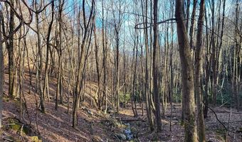 Tract 1-52.57 Ac Cone Orchard Lane, Blowing Rock, NC 28605