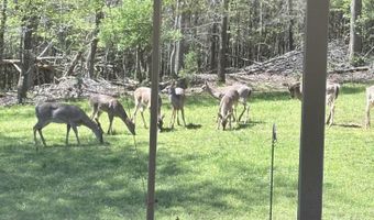 267 Back 9 Dr, Baneberry, TN 37890