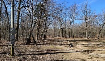 54601 E 233 Rd, Afton, OK 74331